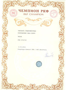 Чемпион РКФ Гайка.jpg
