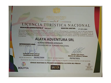 licence alaya bolivie
