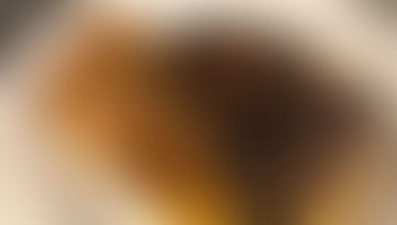 Ely's Claims 3 Generations of Restaurant Experience and Is Still Going Strong