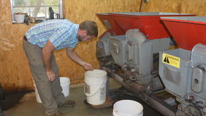 Pecan Yields Decline, Future Looks Promising
