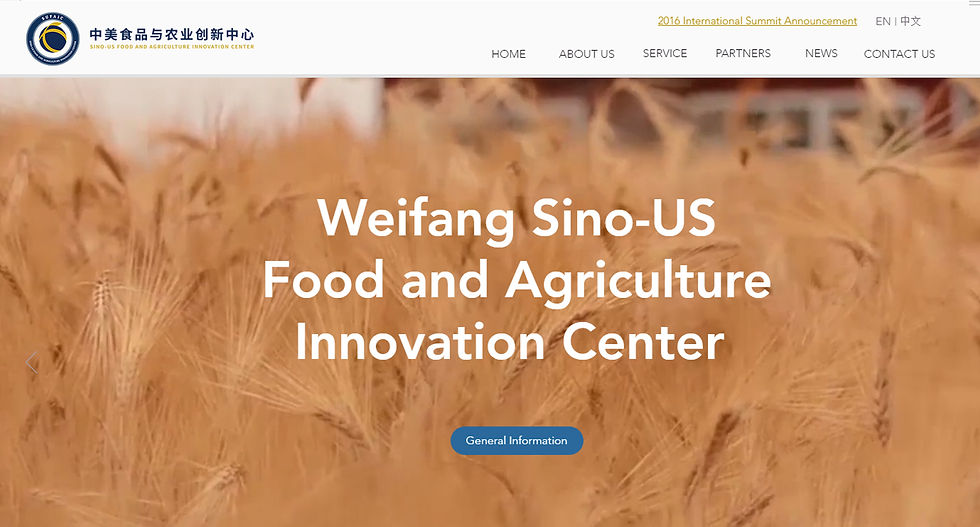 Home Page