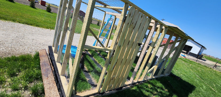 Our Brand New Improved Duck Pen