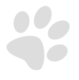 paw.png