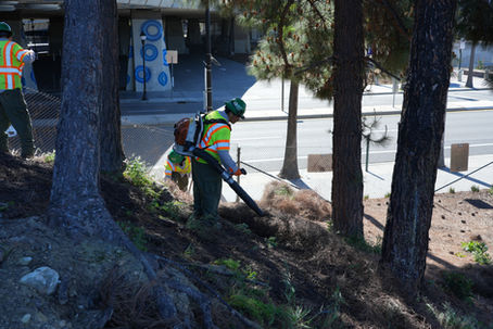 Newsletter: March Corps Connection