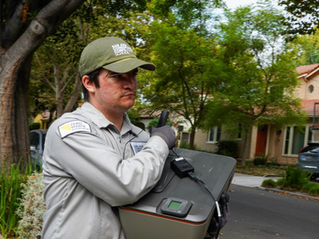 Cameron: From Zero Waste to Hazardous Waste Management