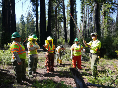 Newsletter: September Corps Connection