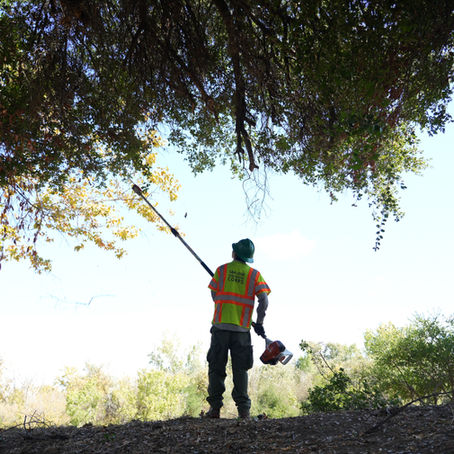 Newsletter: October Corps Connection