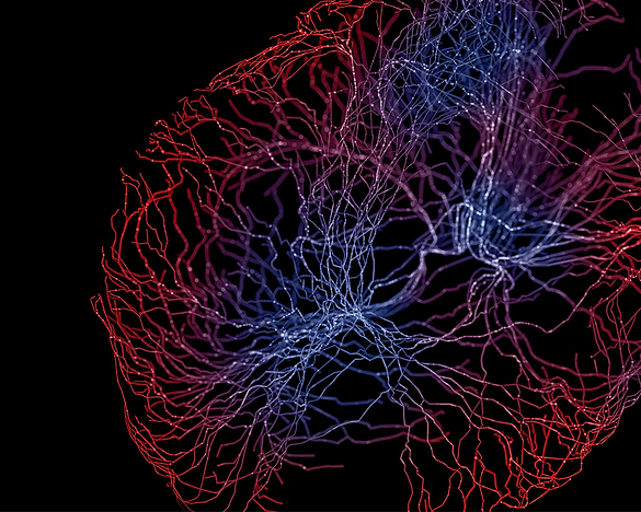 NT WEB 230113_1152 150 BG.png