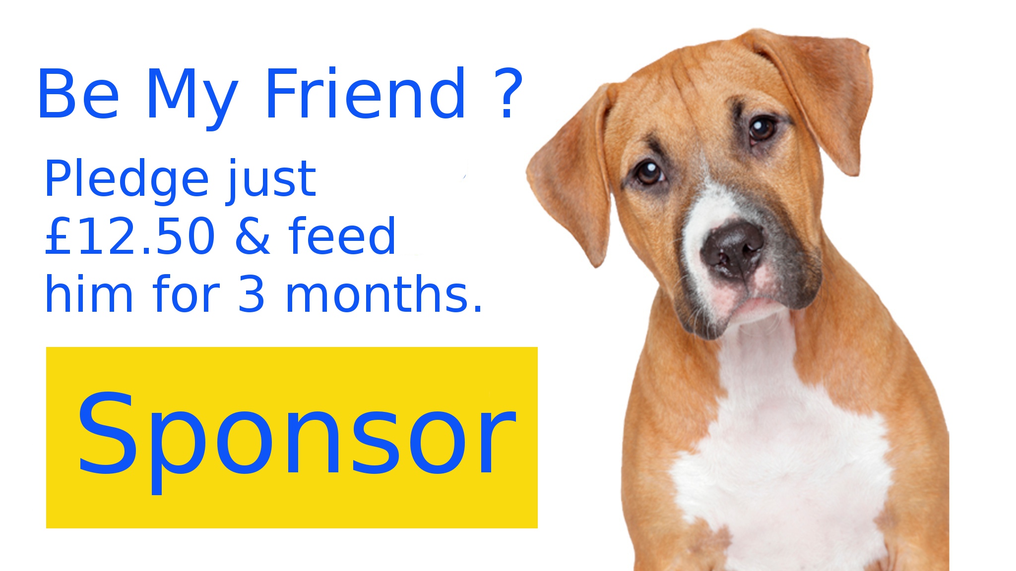 dog rescue centre UK