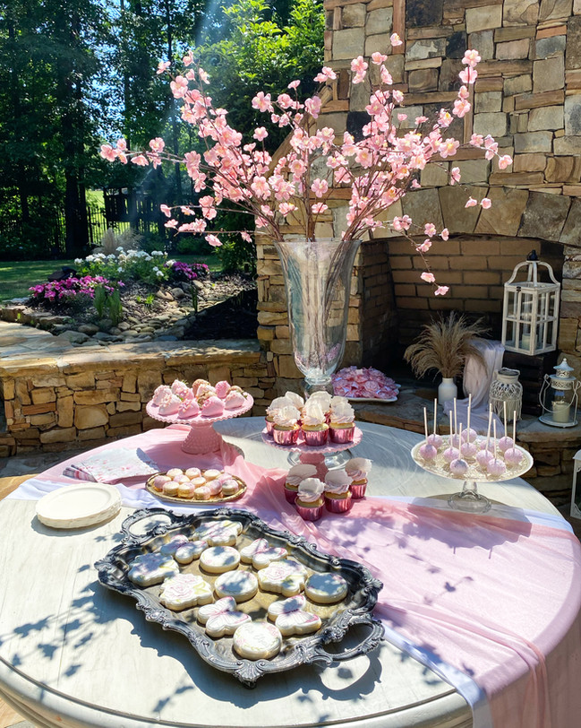 Gallery Starry Nights Events Atlanta