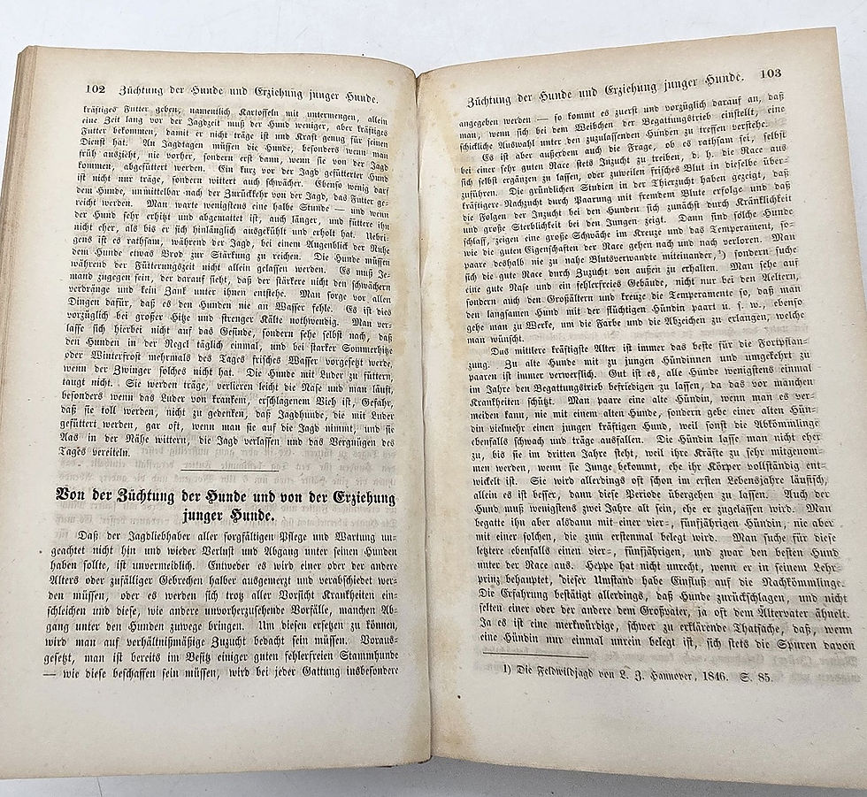 Miniaturbild: 1859 – Jester: Die kleine Jagd. Zum Gebrauch angehender Jäger und Jagdliebhaber