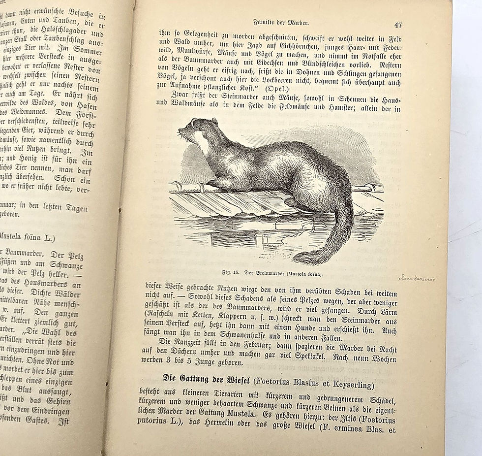 Miniaturbild: EA 1891 - Bos: Tierische Schädlinge und Nützlinge 
