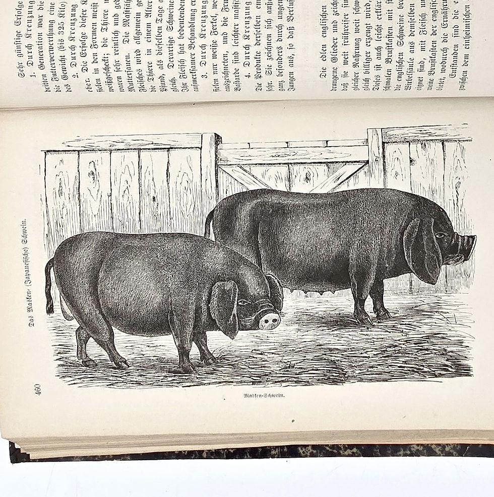 Miniaturbild: EA 1880 - Löbe: Unsere Hausthiere. Handbuch der Zucht, Ernährung und Pflege