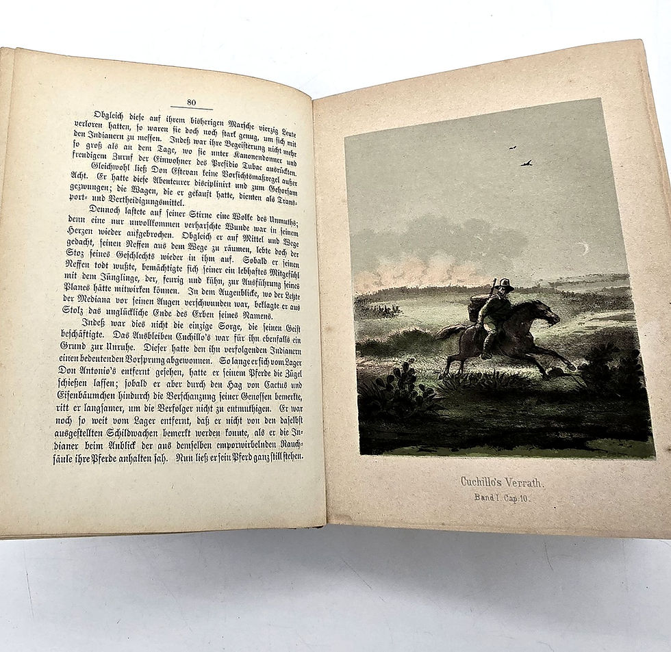 Miniaturbild: 1876 – Hoffmann – Der Waldläufer. Erzählungen aus dem amerikanischen Waldleben