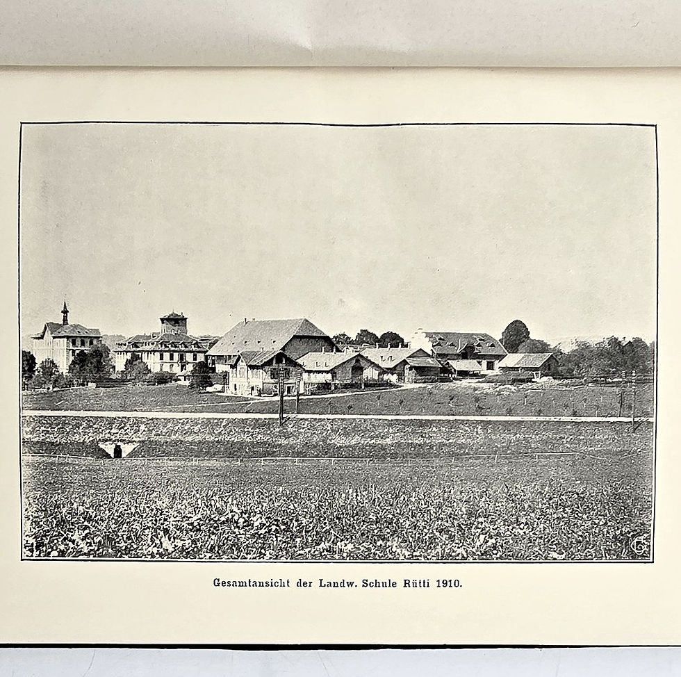Miniaturbild: EA 1911 Käppeli: Gründung und Entwicklung der landwirtschaftlichen Schule Rütti