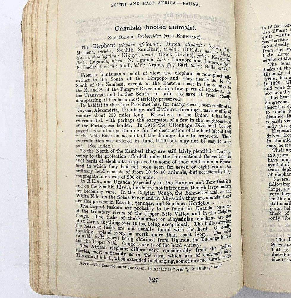 Miniaturbild: 1920 - The South and East African Year Book & Guide. Twenty-Sixth Issue