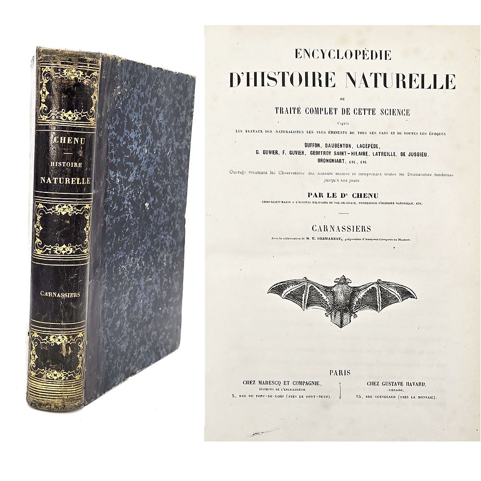 EA 1865 - Chenu: Encyclopédie d’Histoire naturelle. Carnassiers