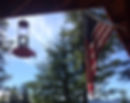 Hummingbird at the feeder