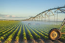 pivot-irrigation-1-1.jpg