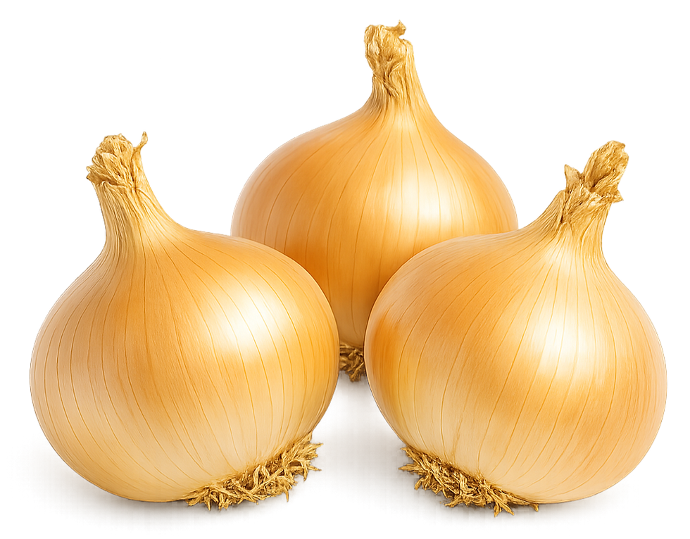 Fresh onions