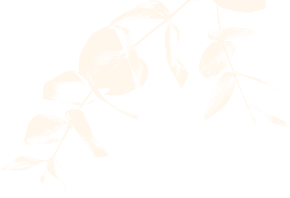 textura landing-03.png