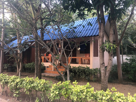 10 days in Koh Tao