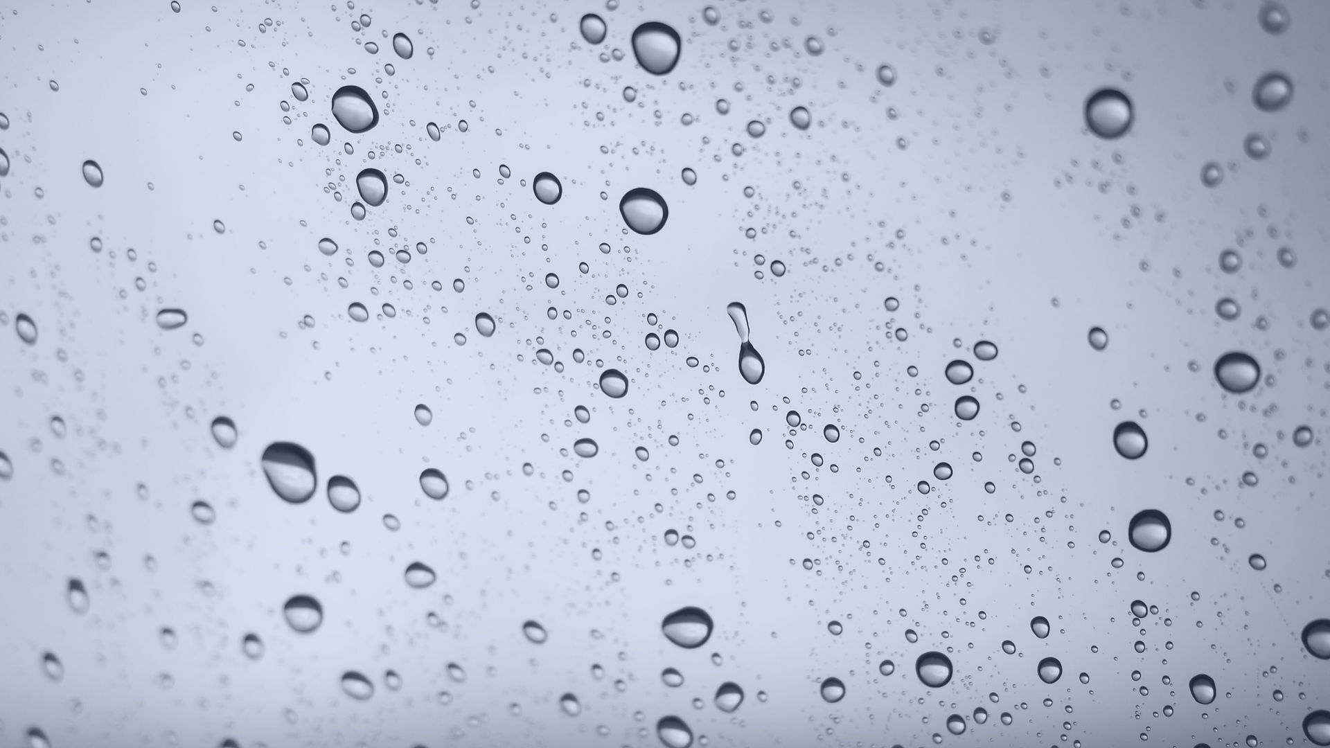 PFC Free Water & Stain Defender Repellent