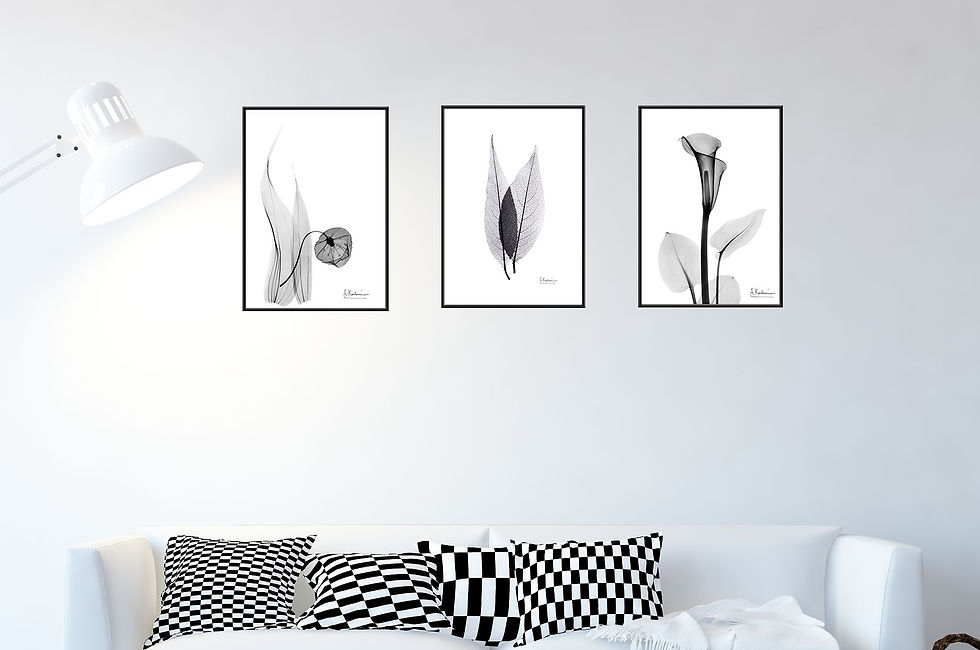 サムネイル： インテリア｜北欧｜ポスター｜おしゃれ｜モノクロ｜アート｜海外|Albert Koetsier