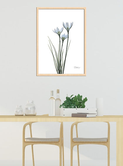 Thumbnail: インテリア｜北欧｜ポスター｜おしゃれ｜ナチュラル｜アート｜グリーン｜海外|Albert Koetsier