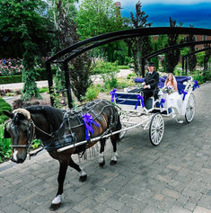 Professional Niagara wedding photographer captures bride arriving at her ceremony by horse & carriage at the Pillar & Post in Niagara-on-the-Lake, Ontario.
