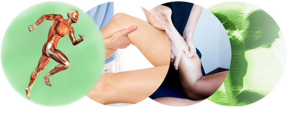 How Does Some of the Best Sports Massage Therapy in Overland Park Compare to a Typical Massage?