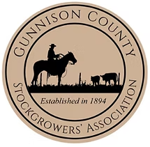 Screenshot 2025-12-22 161909.png