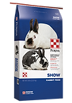 rabbit4.png