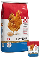 layena.png