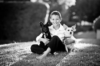 boy with dogs black and white
