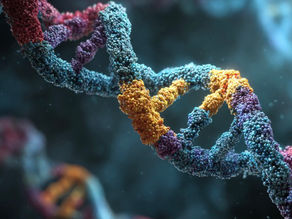 ZK Future Files: Designer Medicine: The Era of Personalized Healthcare