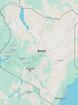 AL-SHABAAB ATTACKED SECURITY FORCES IN KENYA; CYCLONE BORIS CAUSED DEATHS IN MEXICO; MYANMAR JUNTA BURNED VILLAGES IN SAGAING; AND IRAQI FORCES ARRESTED SENIOR ISIS FINANCIER IN AL ANBAR