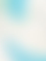 DTAR SECURITY EXECUTIVE BRIEF: PROTESTS IN IRAN, MONORAIL COLLISION IN INDIA MORE THAN 100 INJURED, MULTIPLE CONCERNS IN SUDAN, AND US-LED OPERATION IN SYRIA KILLED OR DETAINED 25 ISIS