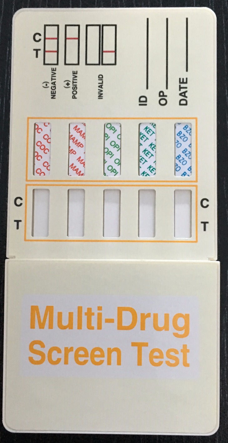 10 Panel (MOP/COC/MAMP/OPI/MDMA/BZO/PCP/THC/AMP/BUP) 25T