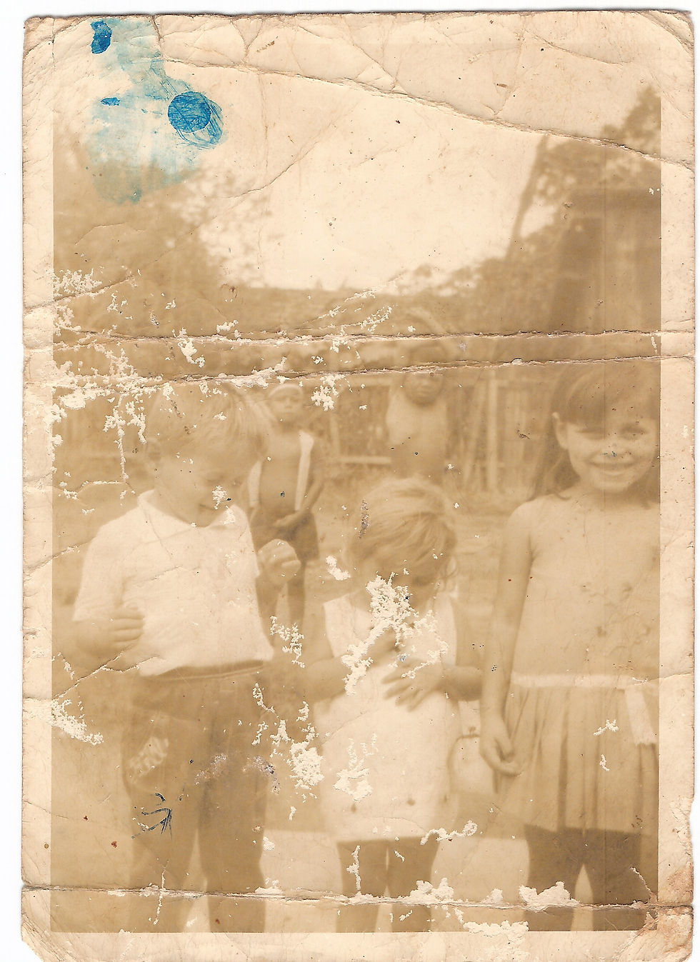 Denis, Cristina e Denize cerqueira.jpg