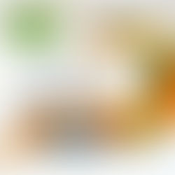 healing your immune system