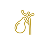 Untitled design (3).png