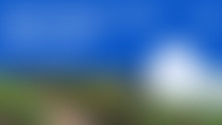 MDPI Korea, 2025 한국사립대학교도서관협의회 제42차 관리자 세미나 참석 예정