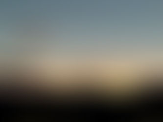 森歩き日記 Vol.53