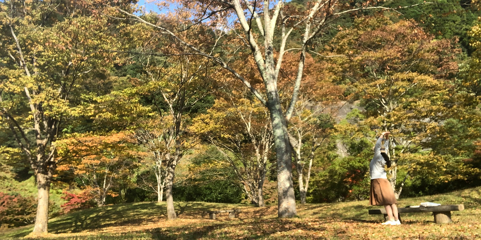 12月【冬の始まりを感じる森林セラピー】最少催行1名〜最大催行6名 無料送迎あり