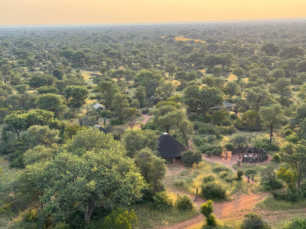 PHOTO-2025-02-23-21-44-47 13.jpg