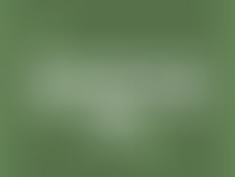 Ayurveda and The Raw Food Diet