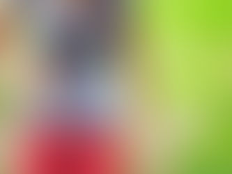 The Basics of a Stitch