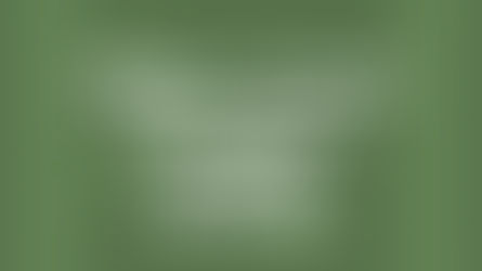 Apples - Crunch Your Way to Healthy Nutrition