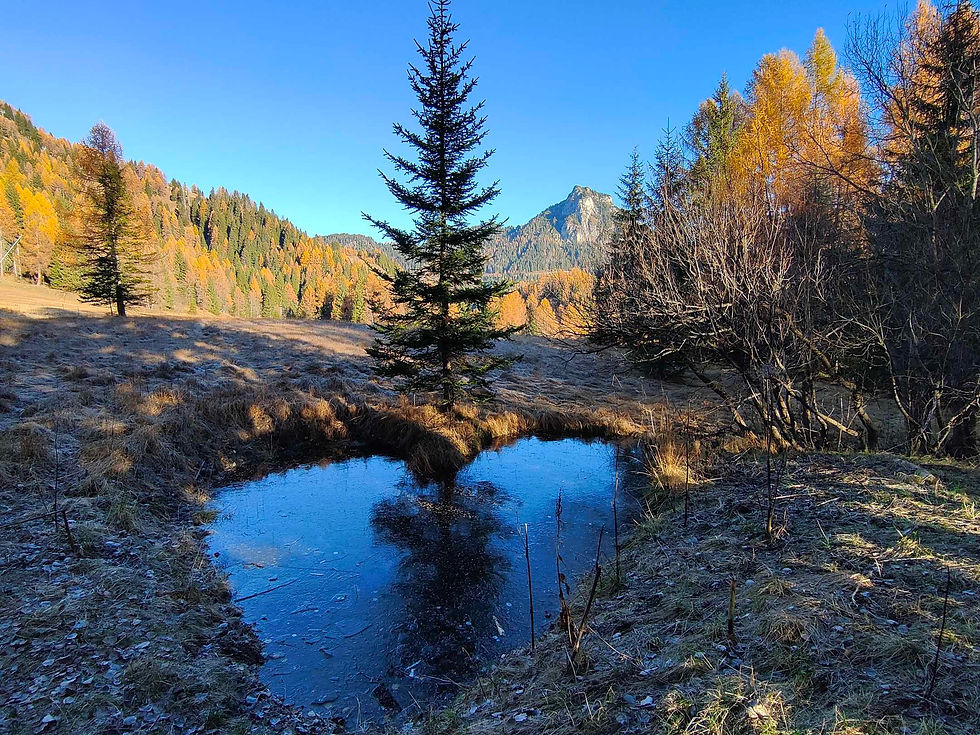 Autunno in Val di Zoldo